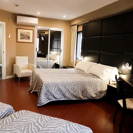 Hotel Benetusser מלון
